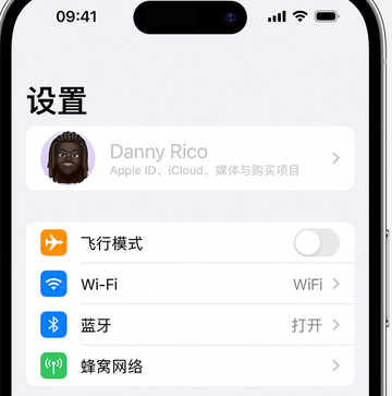 响水镇appleID维修服务iPhone设置中Apple ID显示为灰色无法使用 