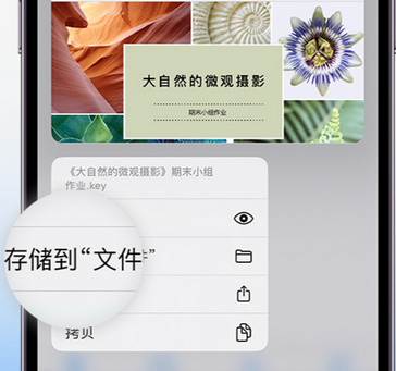 响水镇apple维修中心分享iPhone文件应用中存储和找到下载文件