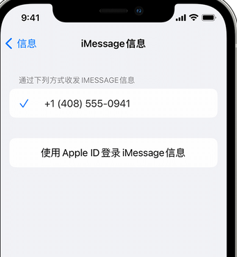 响水镇apple维修iPhone上无法正常发送iMessage信息 