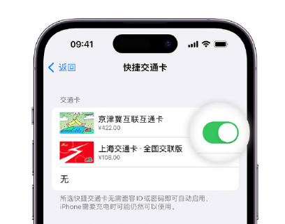 响水镇apple维修点分享iPhone上更换Apple Pay快捷交通卡手绘卡面 