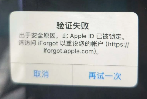 响水镇iPhone维修分享iPhone上正常登录或使用AppleID怎么办 