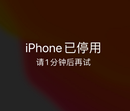 响水镇苹果手机维修分享:iPhone 显示“不可用”或“已停用”怎么办？还能保留数据吗？ 