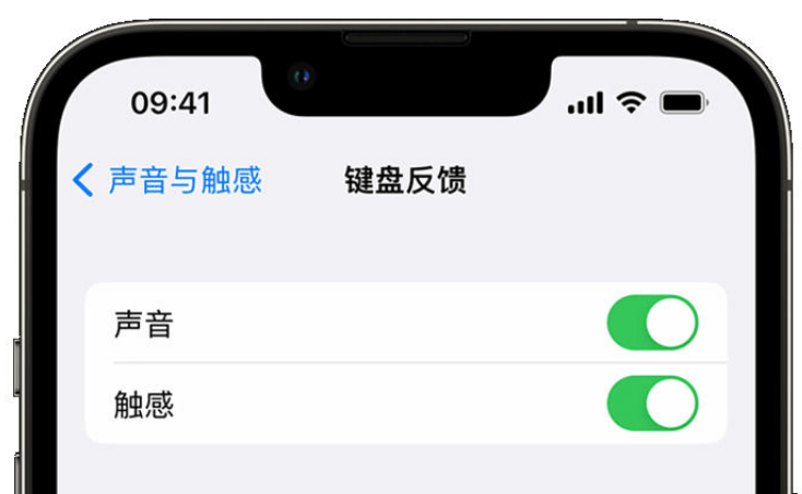 响水镇苹果手机维修分享iPhone 14触感键盘使用方法 