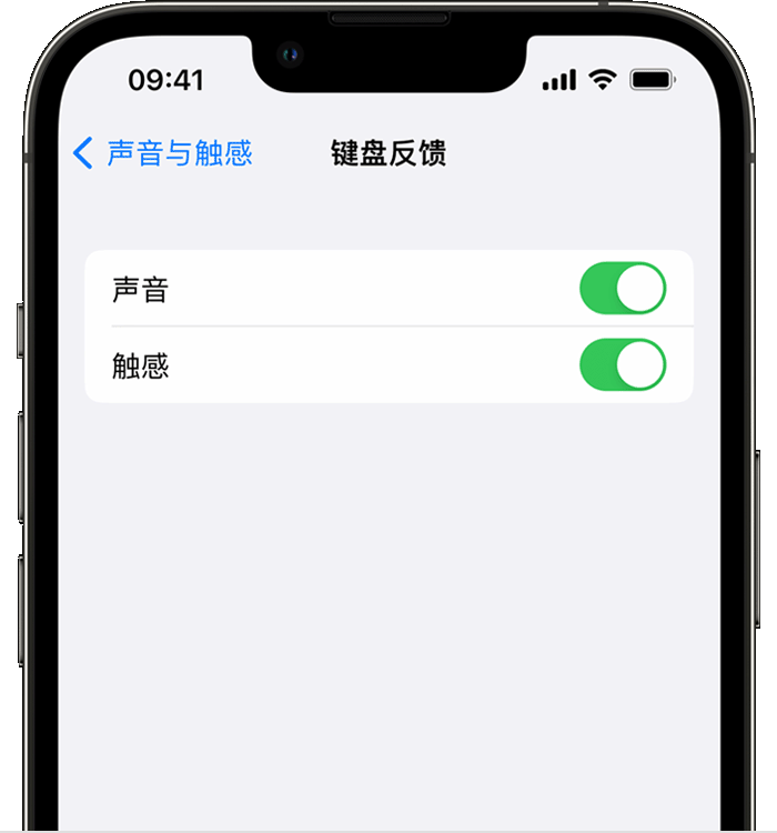 响水镇苹果14维修店分享如何在 iPhone 14 机型中使用触感键盘 