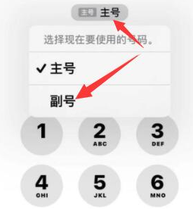 响水镇苹果14维修店分享iPhone 14 Pro Max使用副卡打电话的方法 