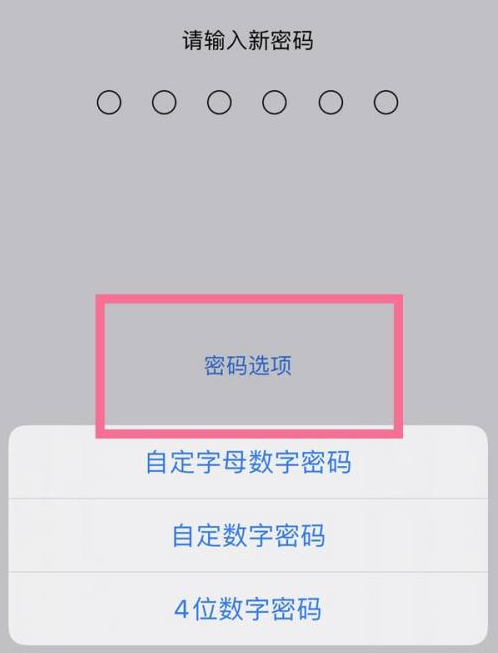 响水镇苹果14维修分享iPhone 14plus设置密码的方法 