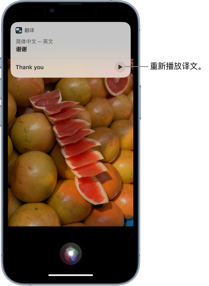 响水镇苹果14维修分享 iPhone 14 机型中使用 Siri：了解 Siri 能帮你做什么 