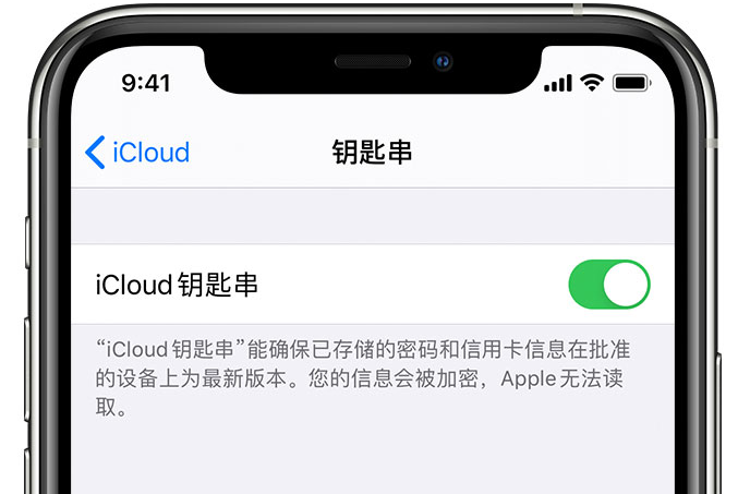 响水镇苹果手机维修分享在 iPhone 上开启 iCloud 钥匙串之后会储存哪些信息 